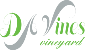 davines Logo